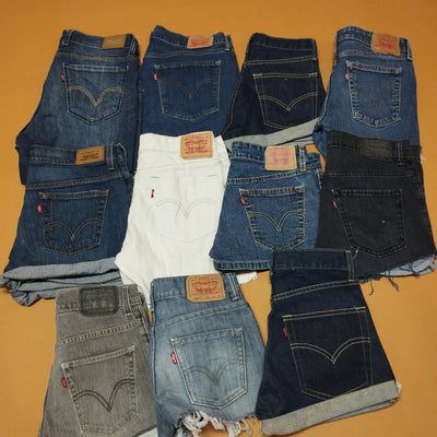 LOT of Modern Shorts Levi's (All Fabric)