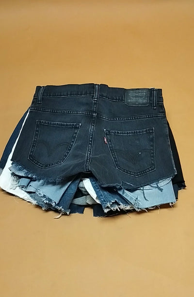 LOT of Modern Shorts Levi's (All Fabric)