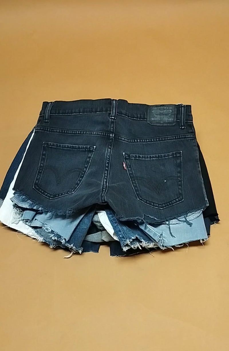 LOT of Modern Shorts Levi&